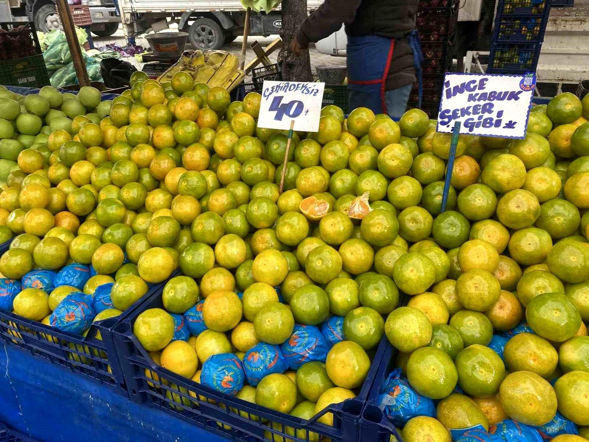 Mandalina Satışları Başladı