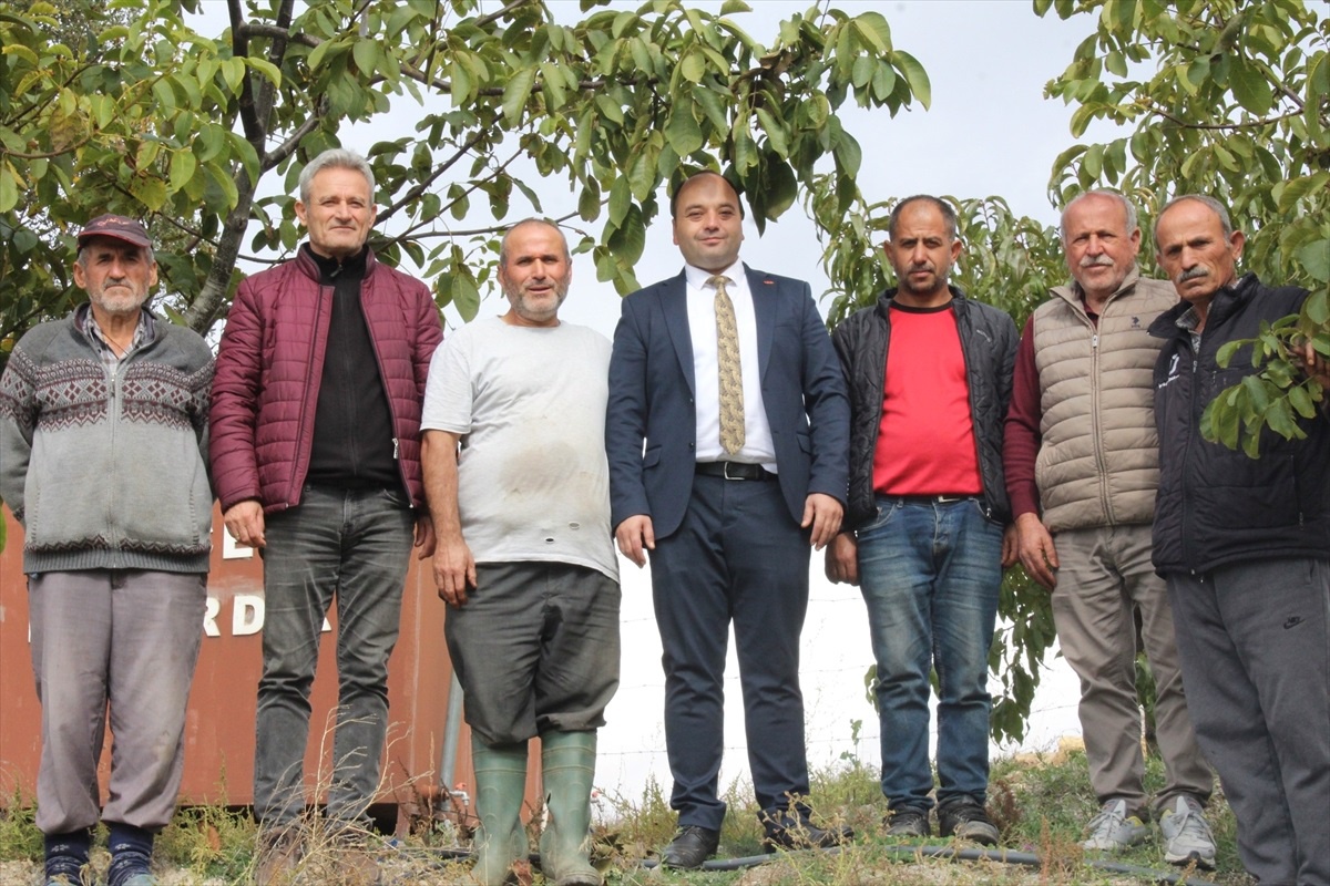 Tepeçaylı Köyü Ceviz Projesi İncelemeleri
