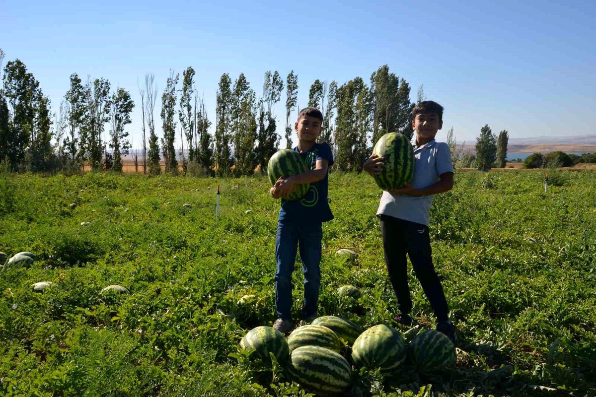 Kırşehir\'de Tarım Üretiminde Kaybı Önleme Çabası