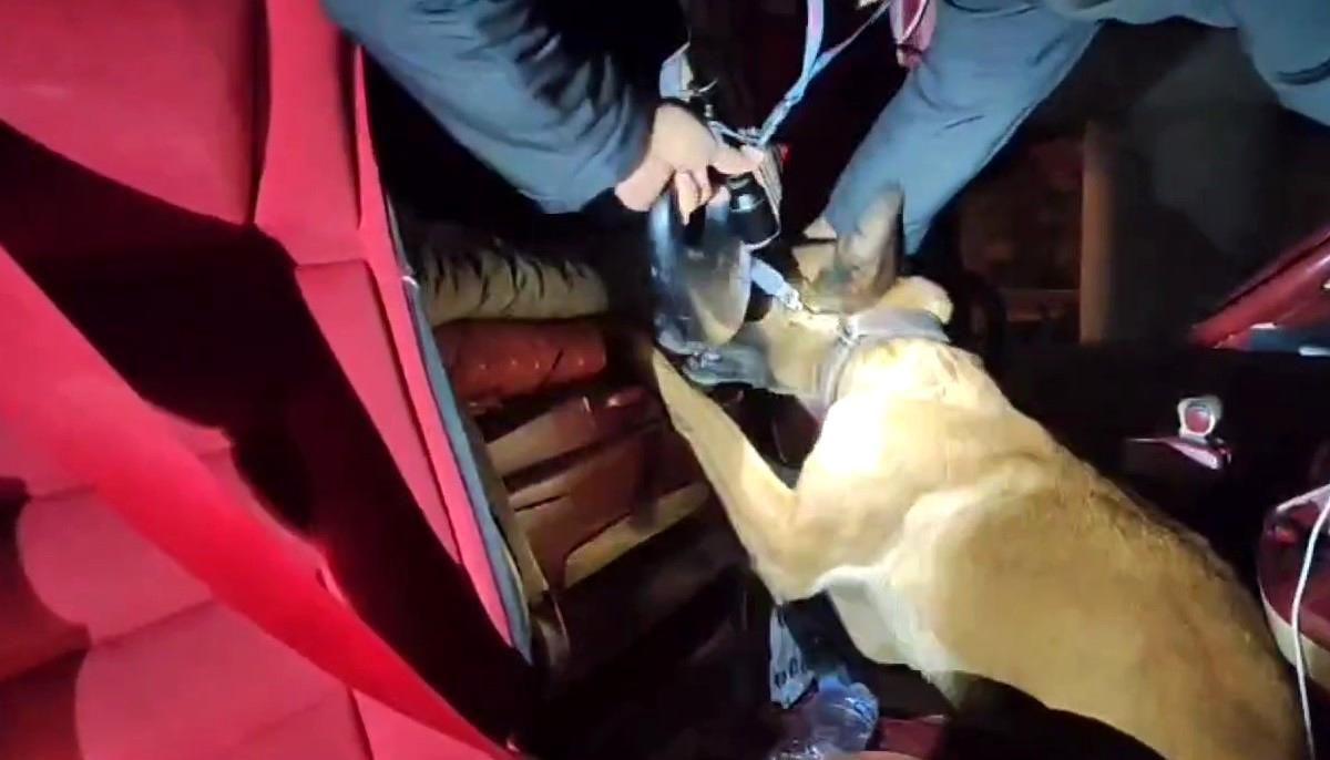 Kayseri\'de Tırda 730 Gram Uyuşturucu Ele Geçirildi