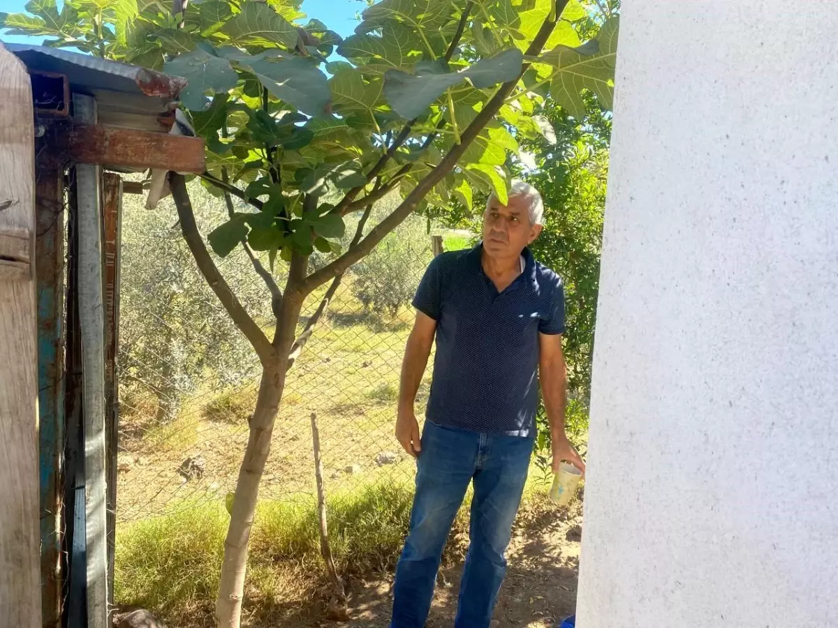 Osmaniye\'de Tavuk Hırsızlığı