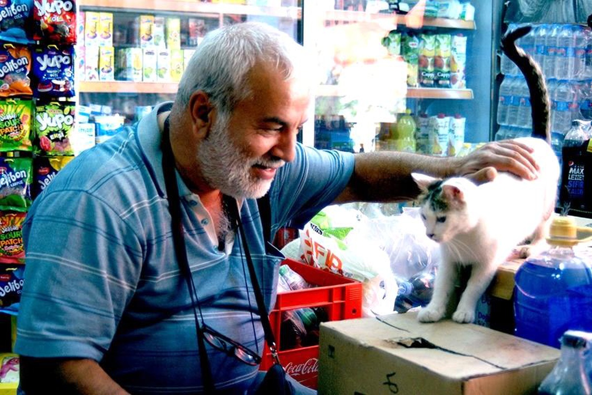Sokak Hayvanlarına Barınak Çağrısı