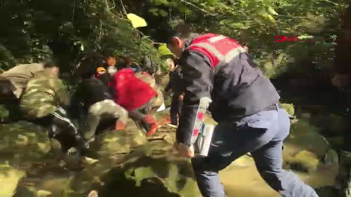 Kestane Toplamak İçin Çıktı, Cansız Bedeni Bulundu