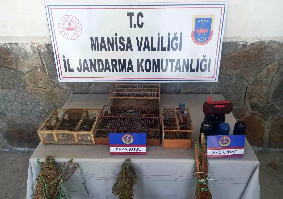 Manisa\'da Tuzakla Saka Kuşu Avına Cezai İşlem