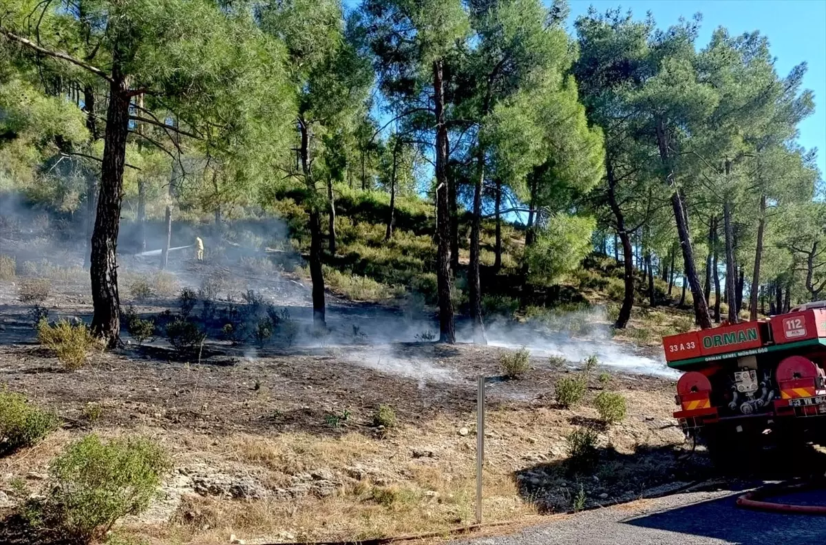 Erdemli\'de Orman Yangını Kontrol Altına Alındı