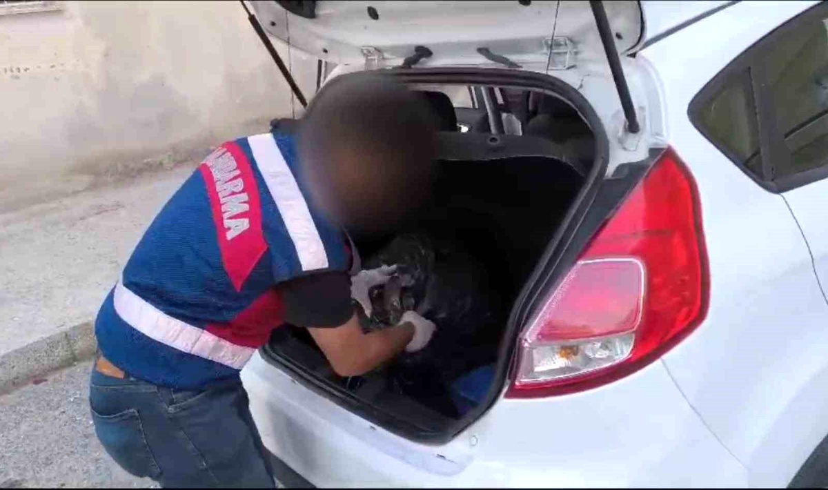 Mersin\'de Uyuşturucu Operasyonu: 2 Tutuklama