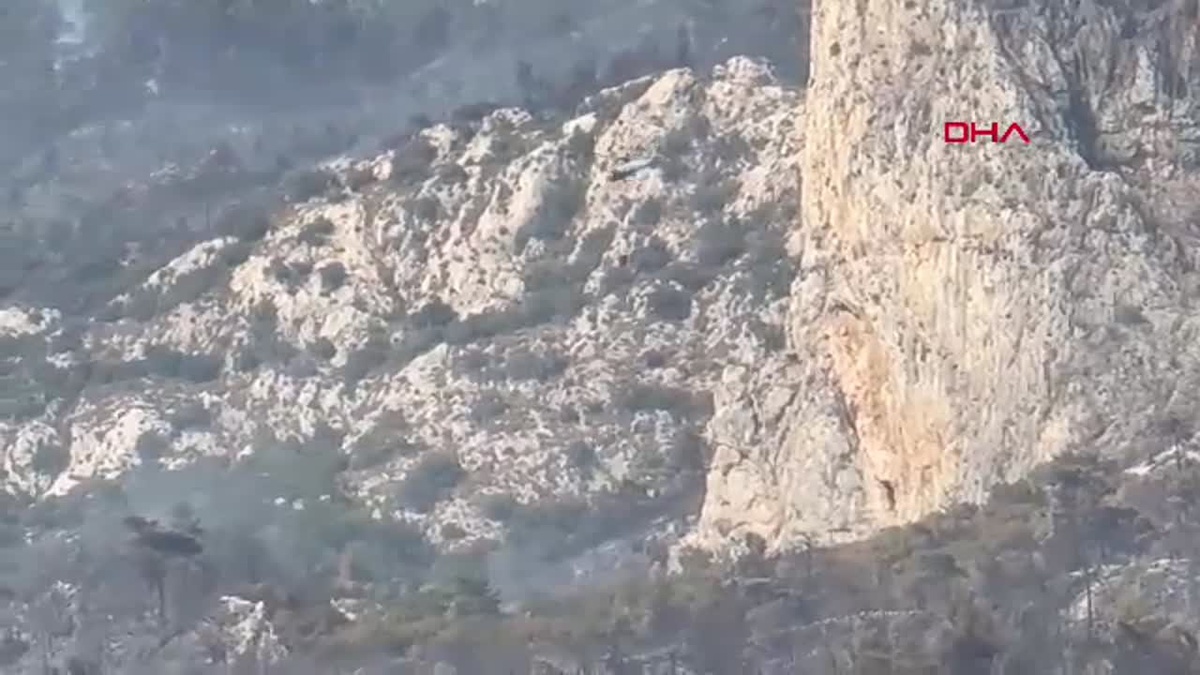 Muğla\'daki Orman Yangınlarına Müdahale Devam Ediyor