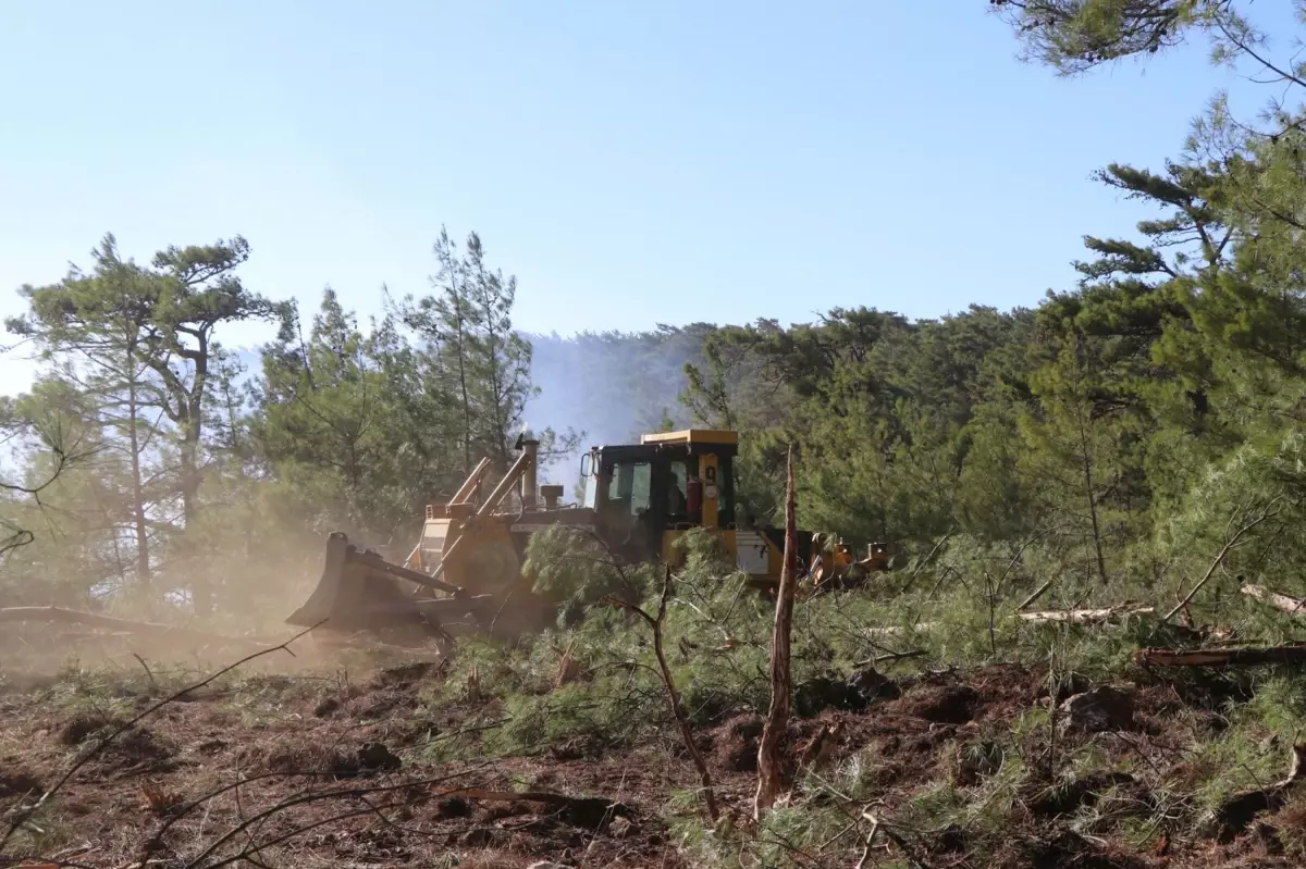 Muğla\'da Orman Yangını Kontrol Altına Alındı