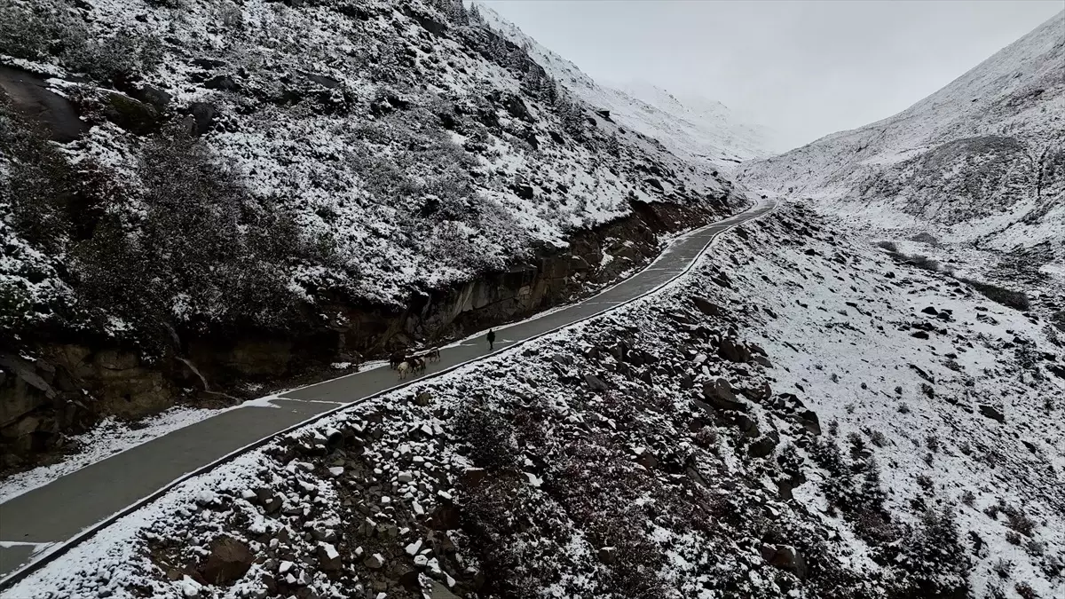 Baharda Yayladan Köye Dönüş