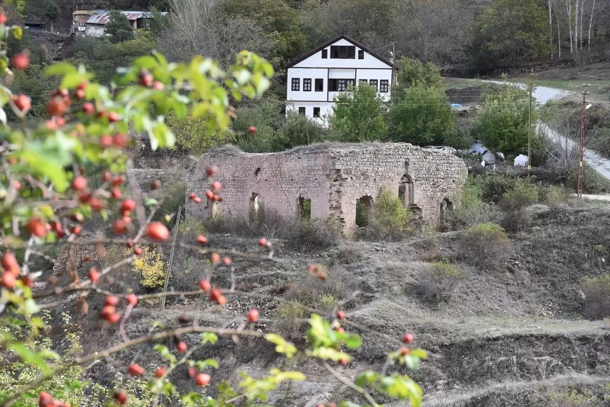 Süleymaniye Mahallesi\'nde Sonbahar Güzelliği