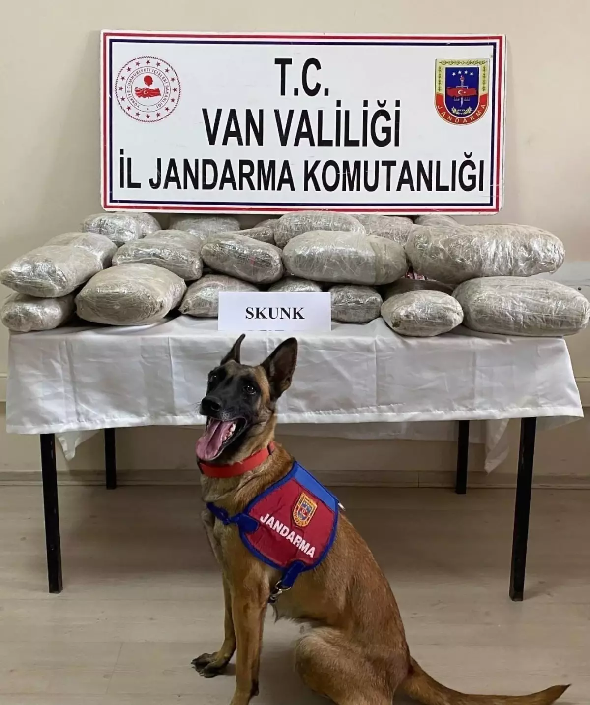 VAN\'da 28 Kilo Skunk Ele Geçirildi