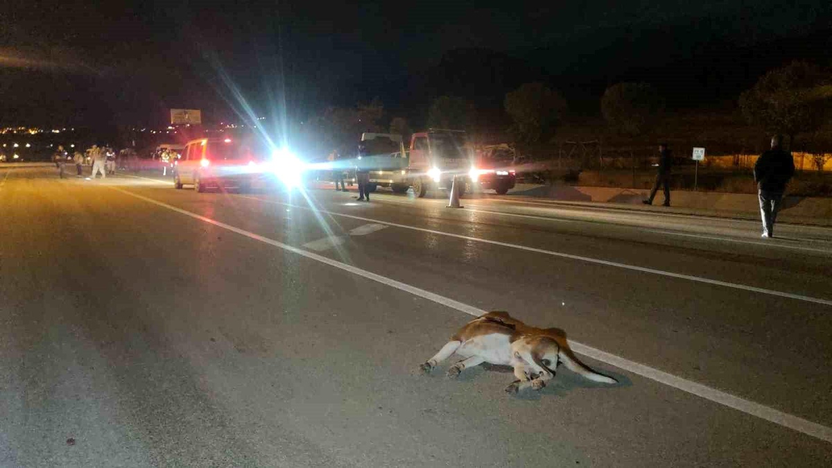 Van\'da Trafik Kazası: 8 Yaralı