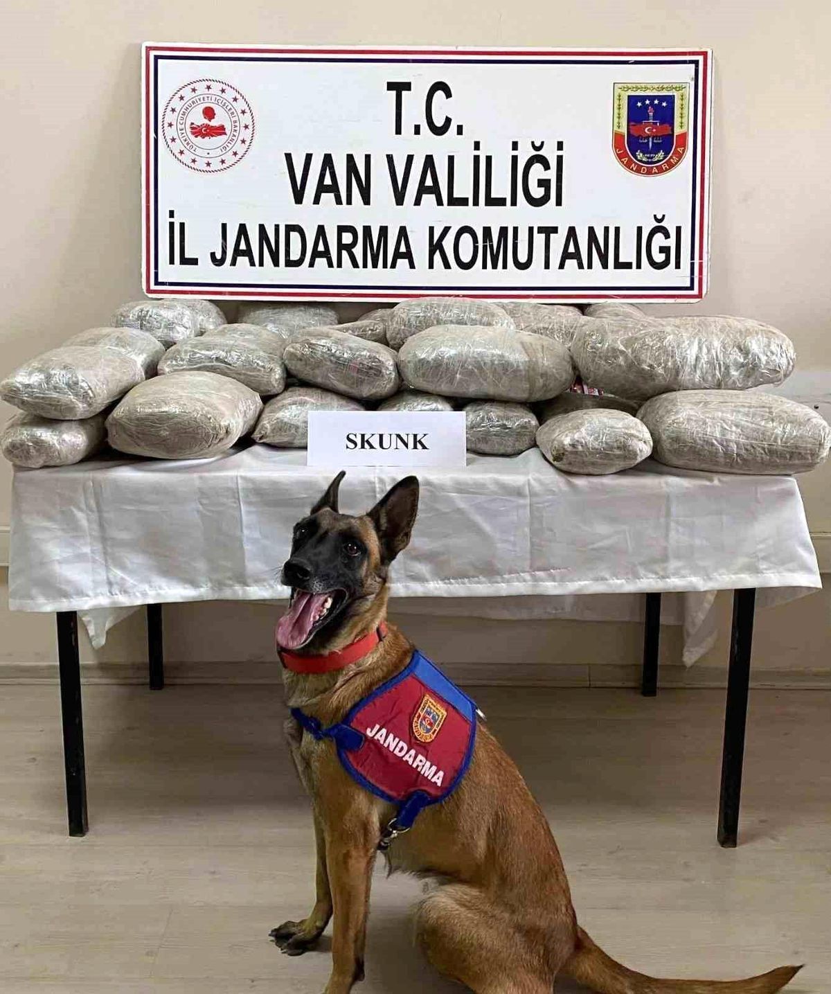 Van\'da Narkotik Operasyonu: 28.574 Gram Skunk Ele Geçirildi