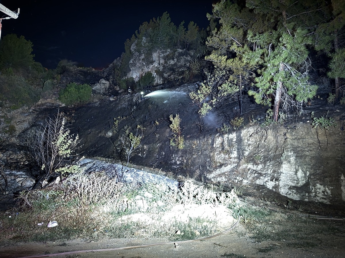Alanya\'daki Orman Yangını Kontrol Altına Alındı