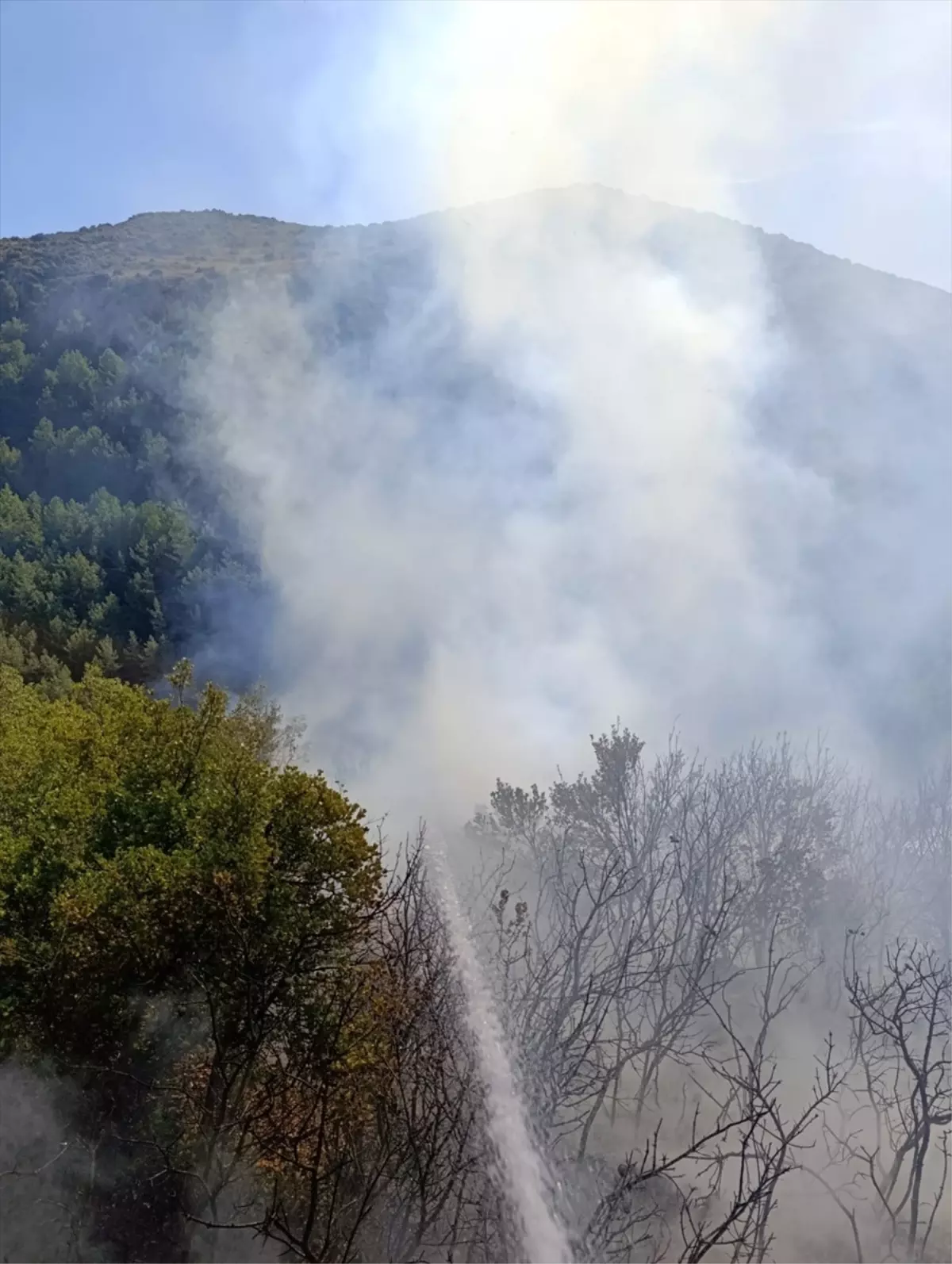 Antakya\'da Orman Yangını Söndürüldü