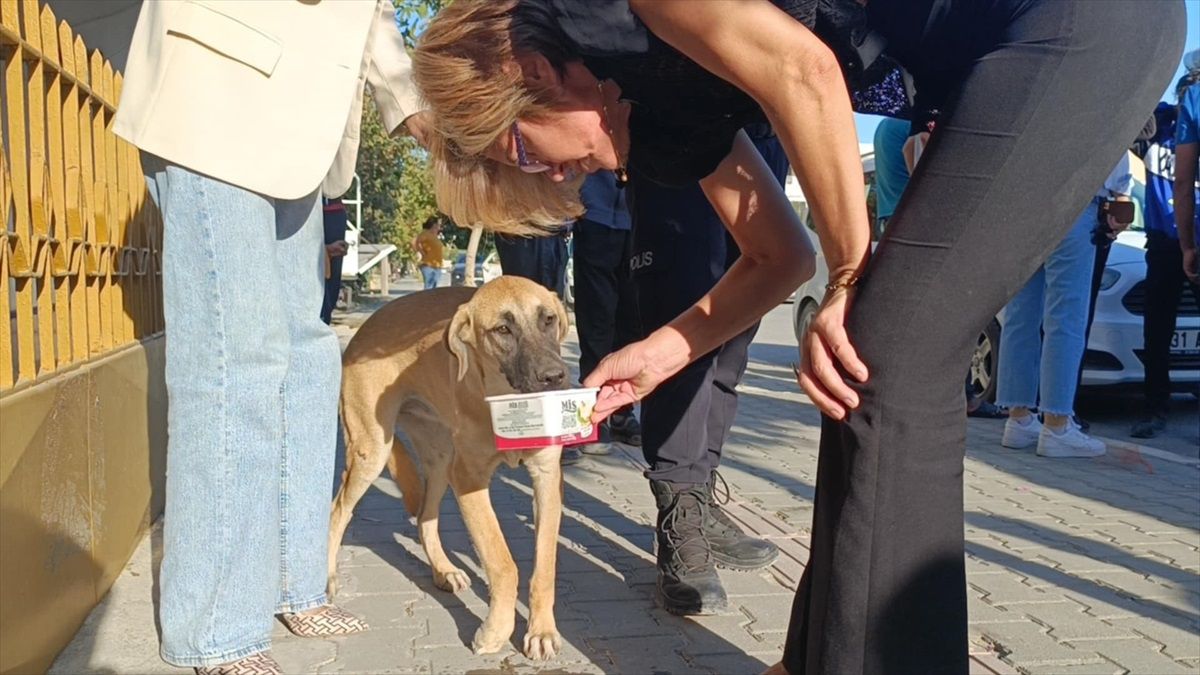 Köpeğe çarpan motosiklet devrildi, sürücü yaralandı