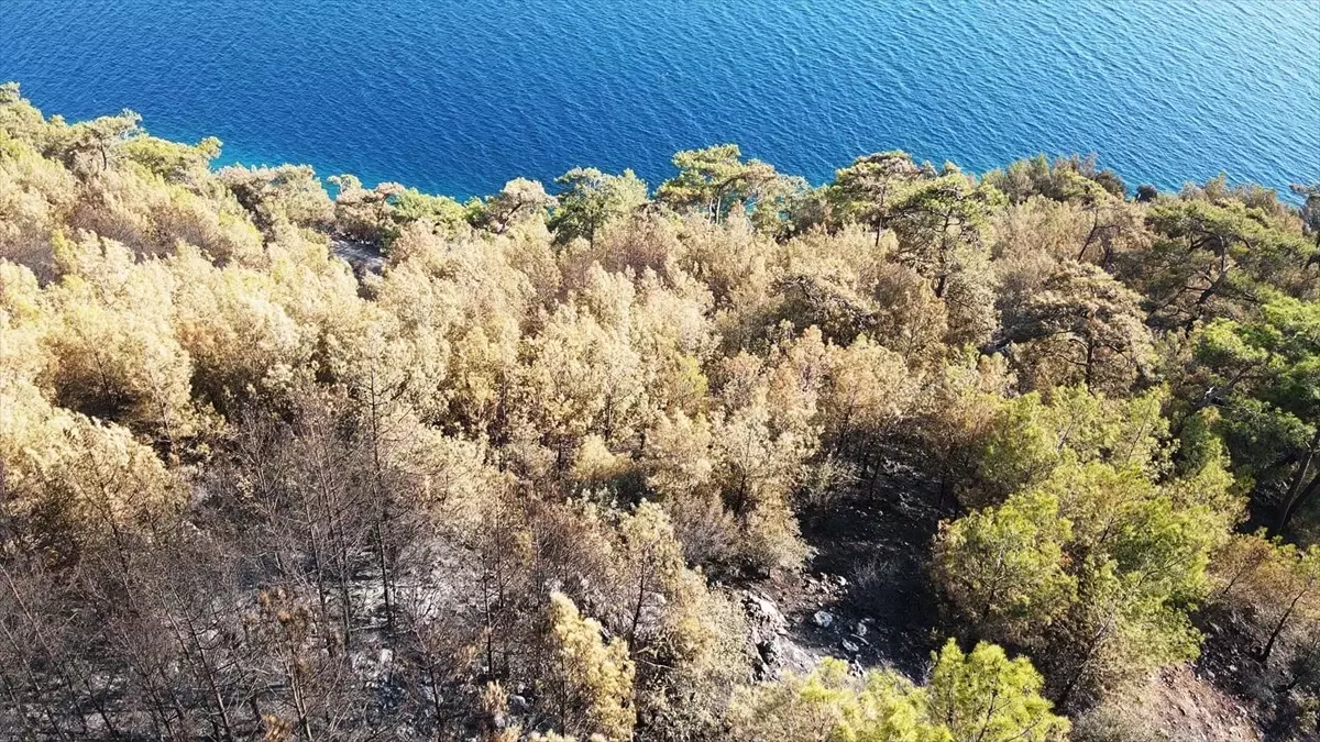 Menteşe\'de Orman Yangını Havadan Görüntülendi