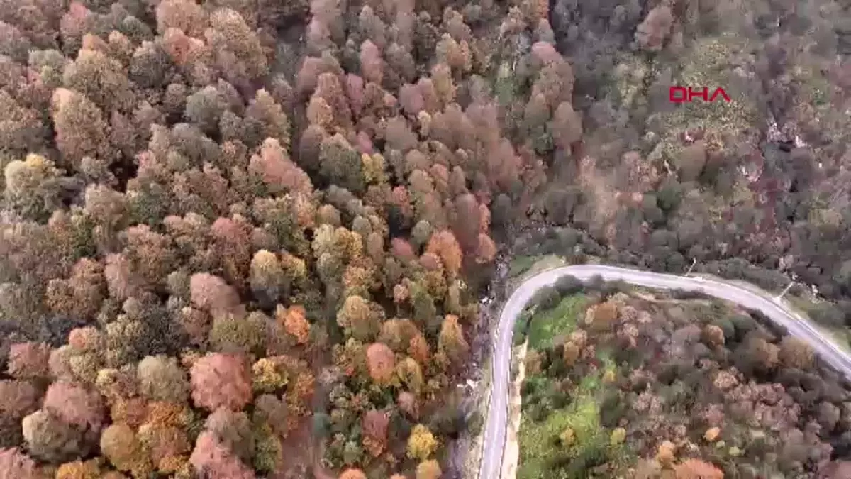 Doğu Karadeniz\'de Sonbahar Renk Cümbüşü