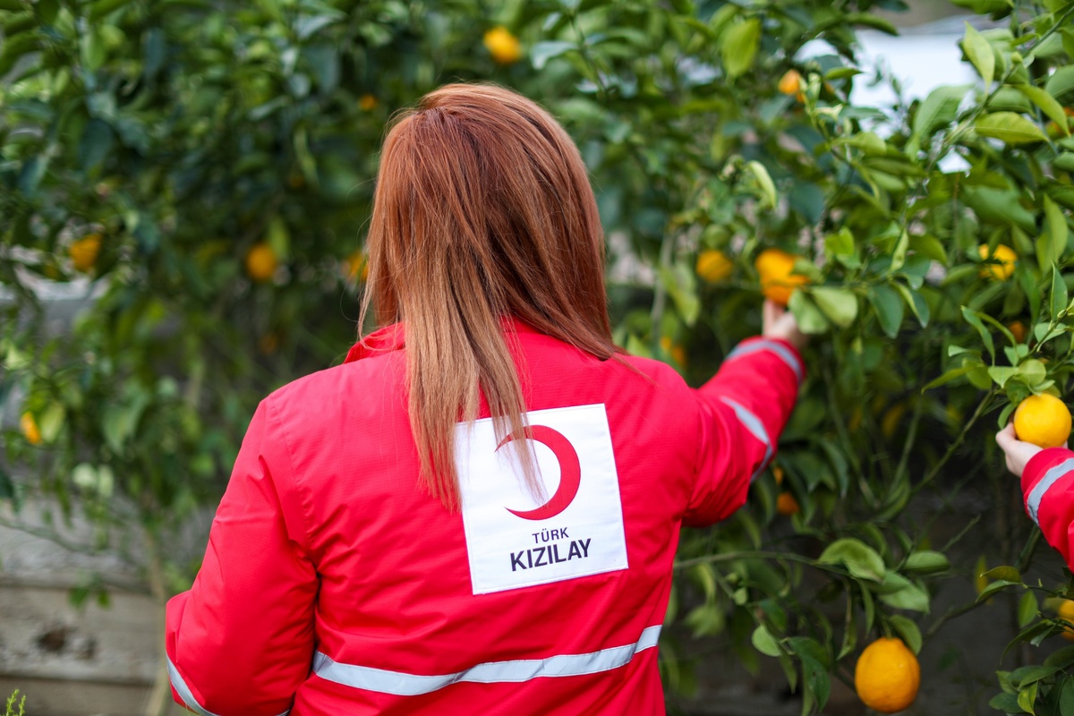 Kızılay, Çiftçi Destek Programı ile 70.8 Milyon Lira Ödeme Yaptı