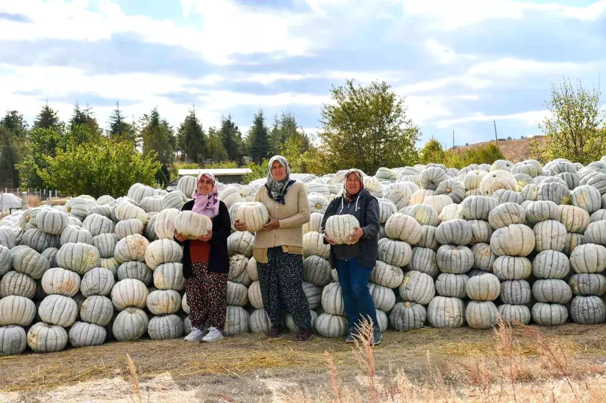 Tepebaşı\'nda Kadın Üreticiler Bal Kabağını Tanıtıyor