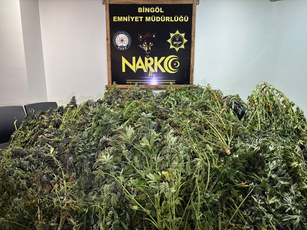 Bingöl\'de 542 kg Esrar Ele Geçirildi
