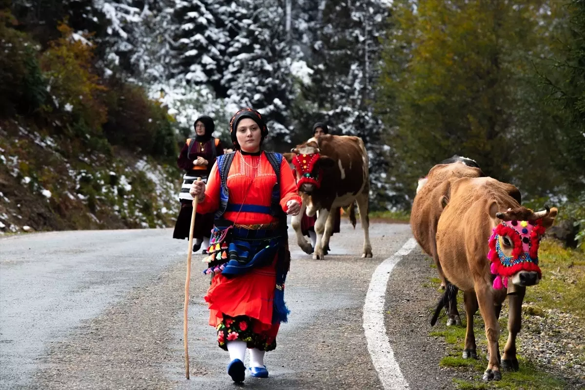 Yayla Göçü Kar Yağışıyla Hızlandı