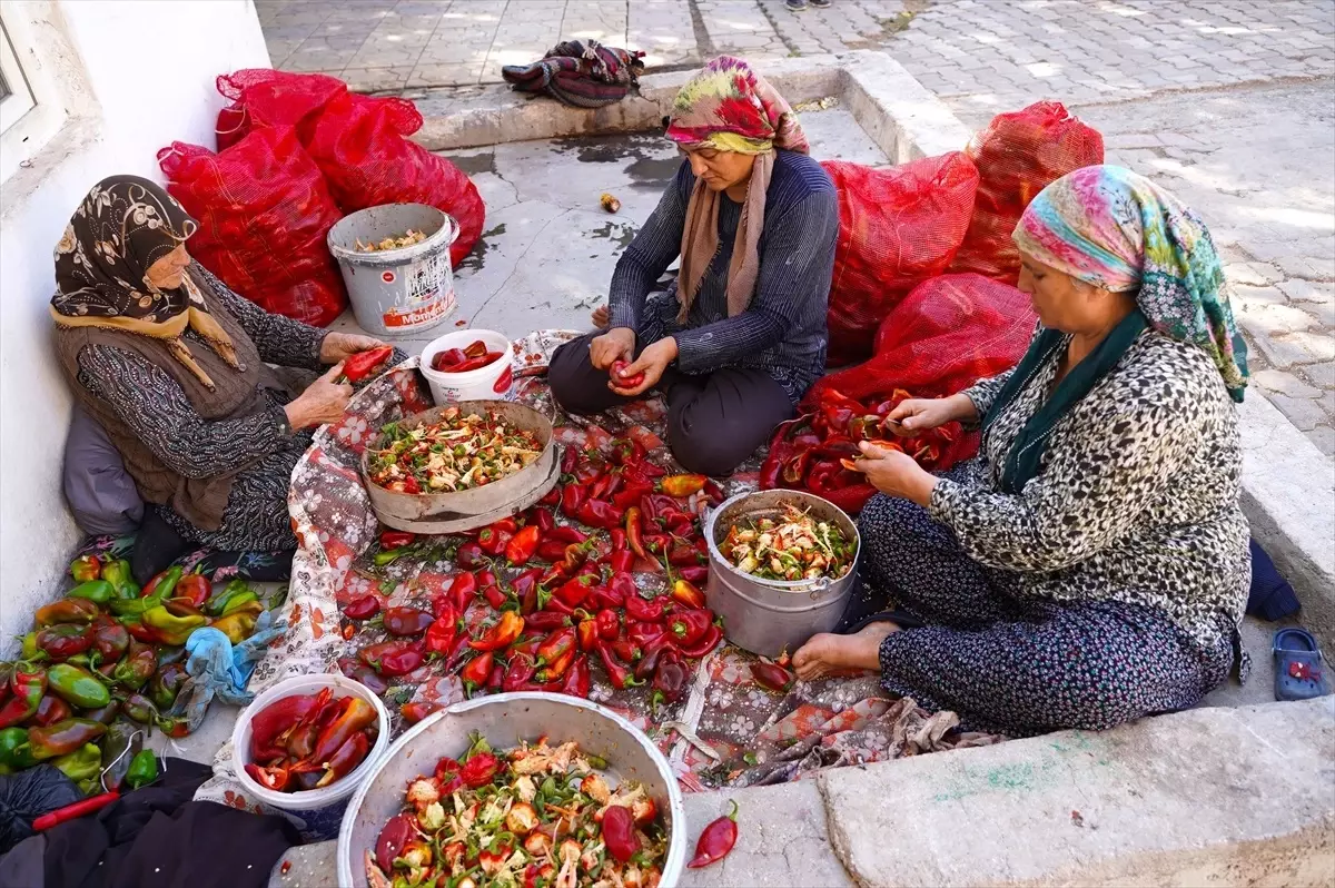 Kadın Çiftçiler Gaziantep\'te Ev Ekonomisine Katkı Sağlıyor