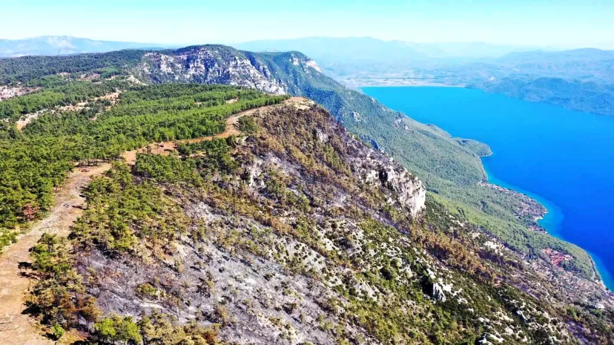 Gökova\'da Orman Yangını Kontrol Altına Alındı