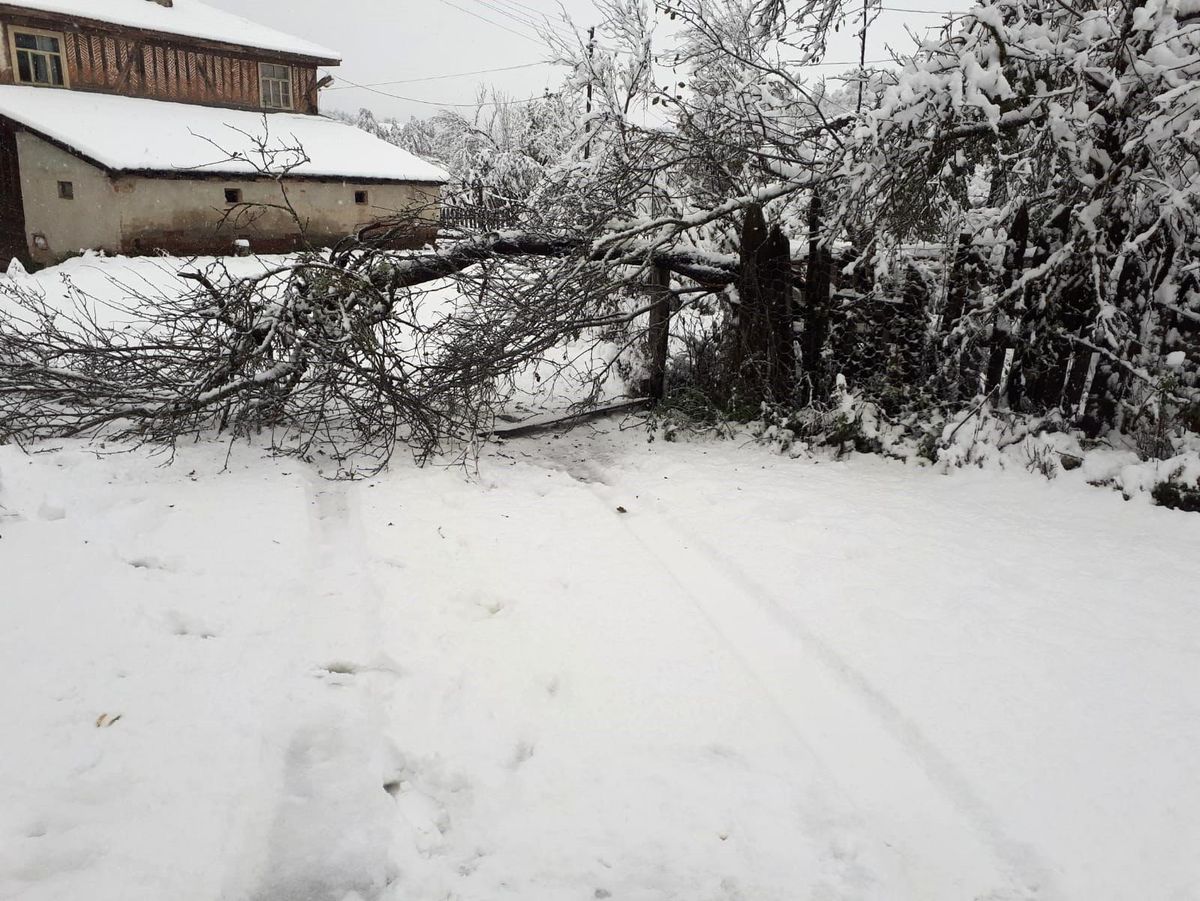 Kastamonu\'da Karla Mücadele Başladı