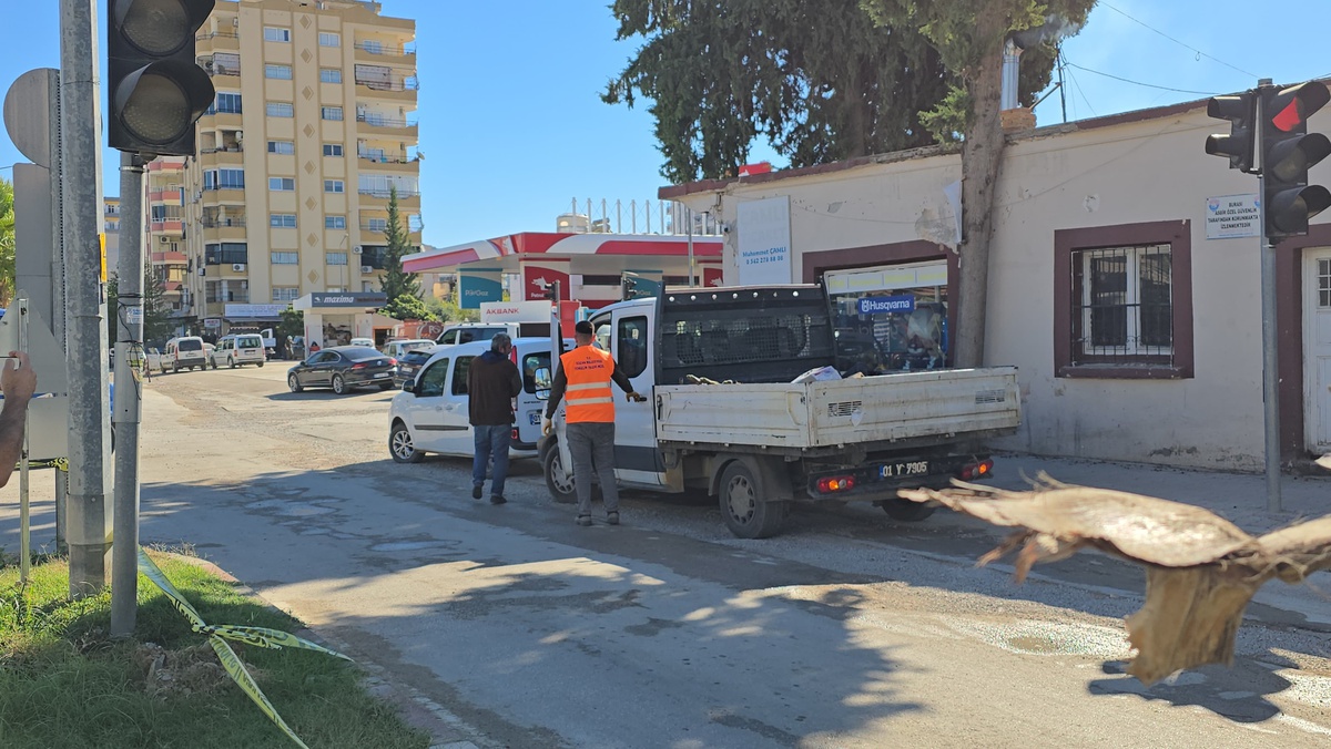 Elektrik Kaçağı, Sokak Köpeğini Öldürdü