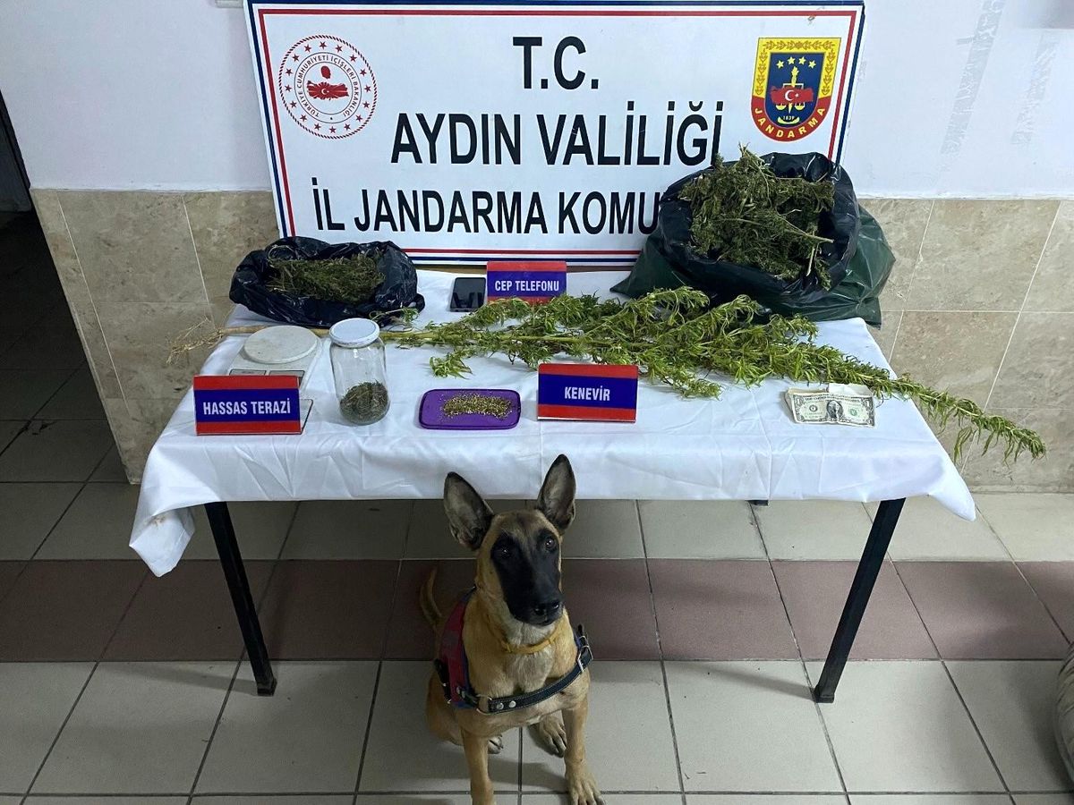 Aydın\'da Uyuşturucu Operasyonu: 1 Gözaltı