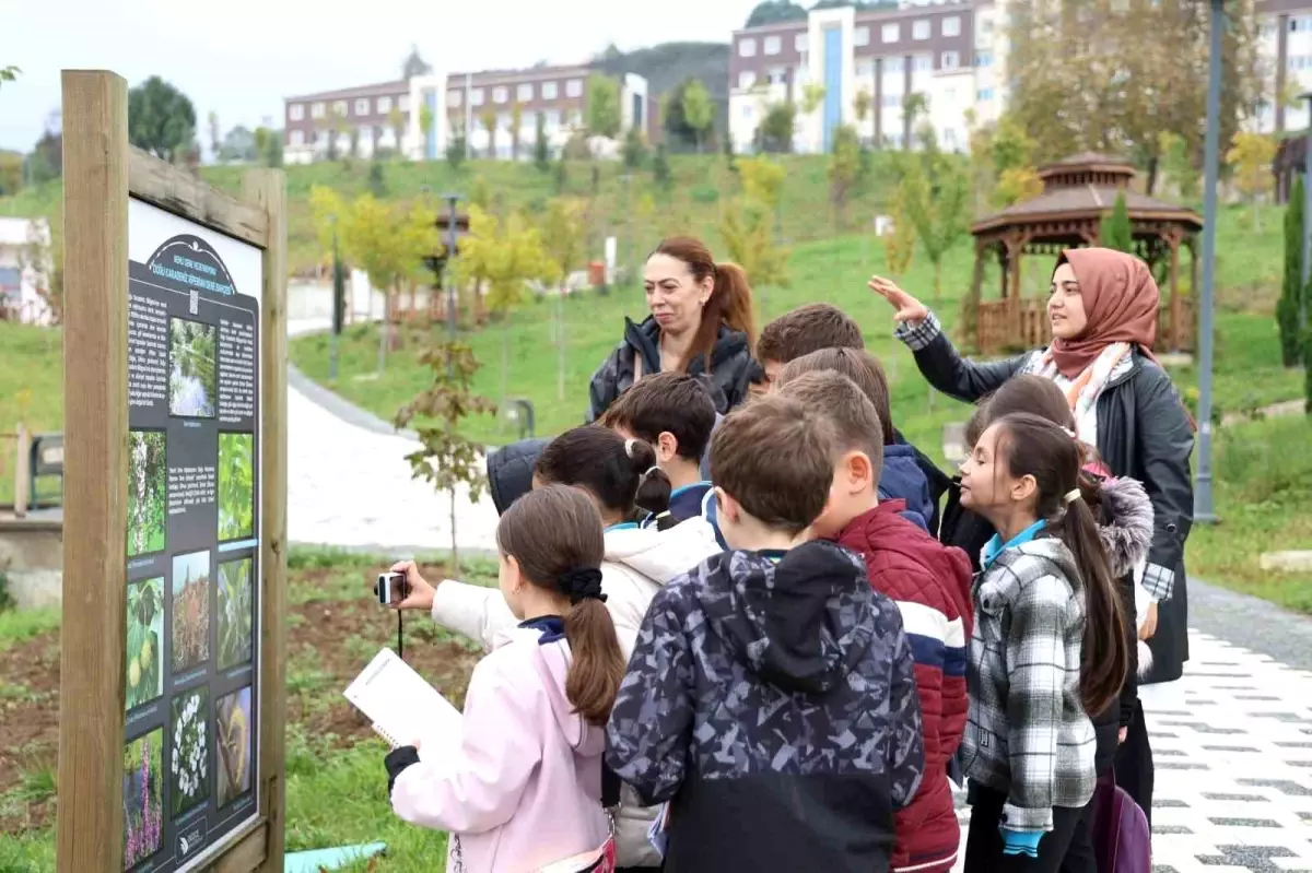 Düzce\'de Botanik Bahçesi Ziyareti