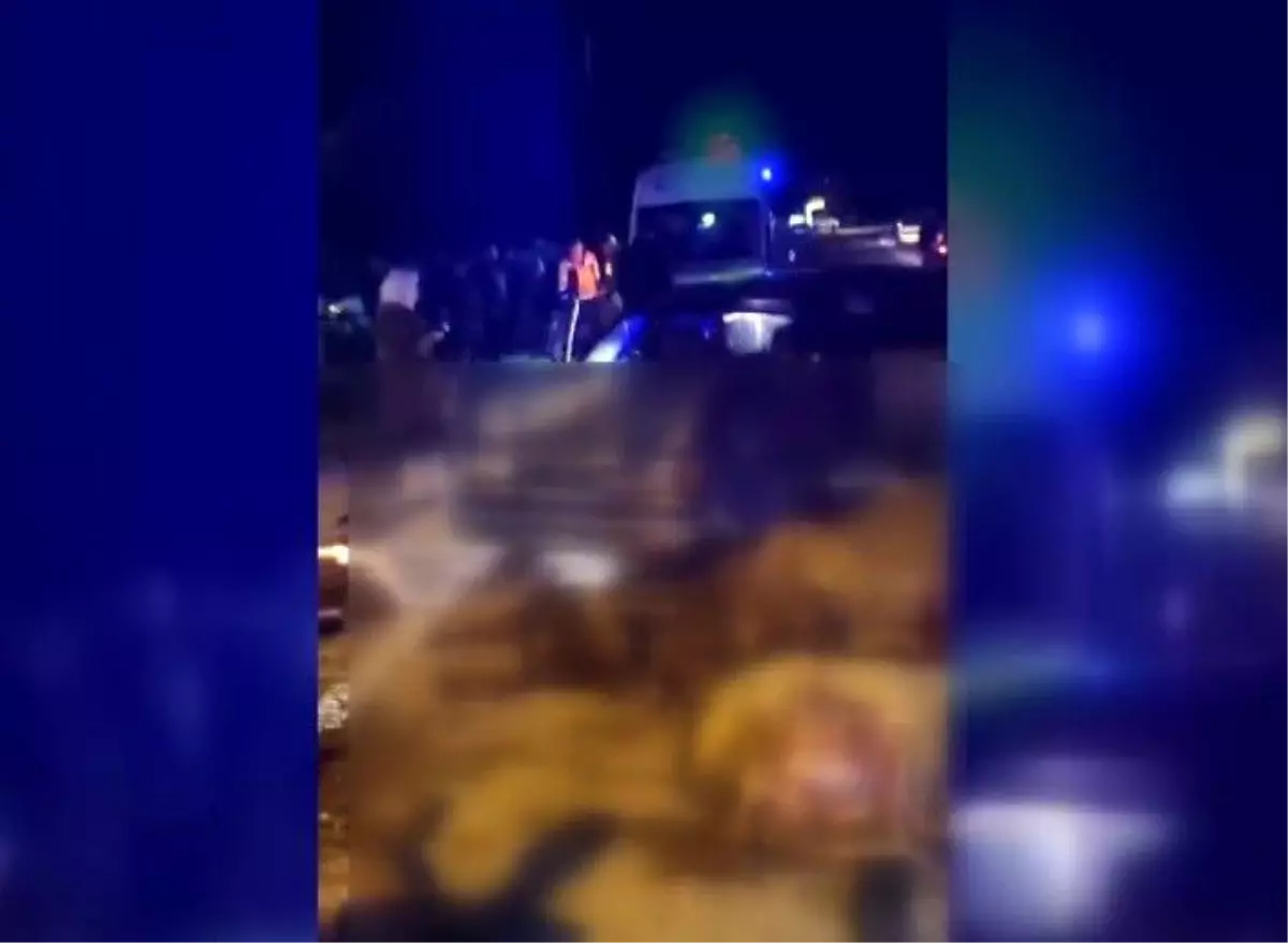 Erzincan\'da Kaza: 20 Koyun Telef Oldu, 6 Yaralı