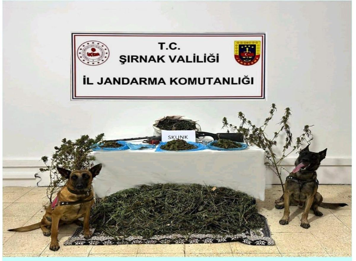 Şırnak\'ta Uyuşturucu Operasyonu: 2 Tutuklama