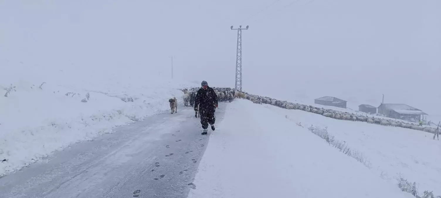 Mahsur Kalan Çoban ve Koyunları Kurtarıldı