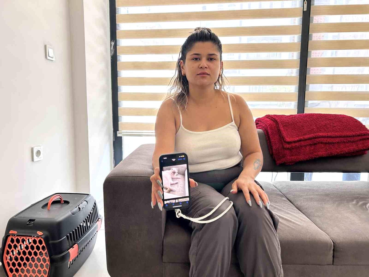 Kedisini Kaybeden Kadından 2 Bin TL Ödül