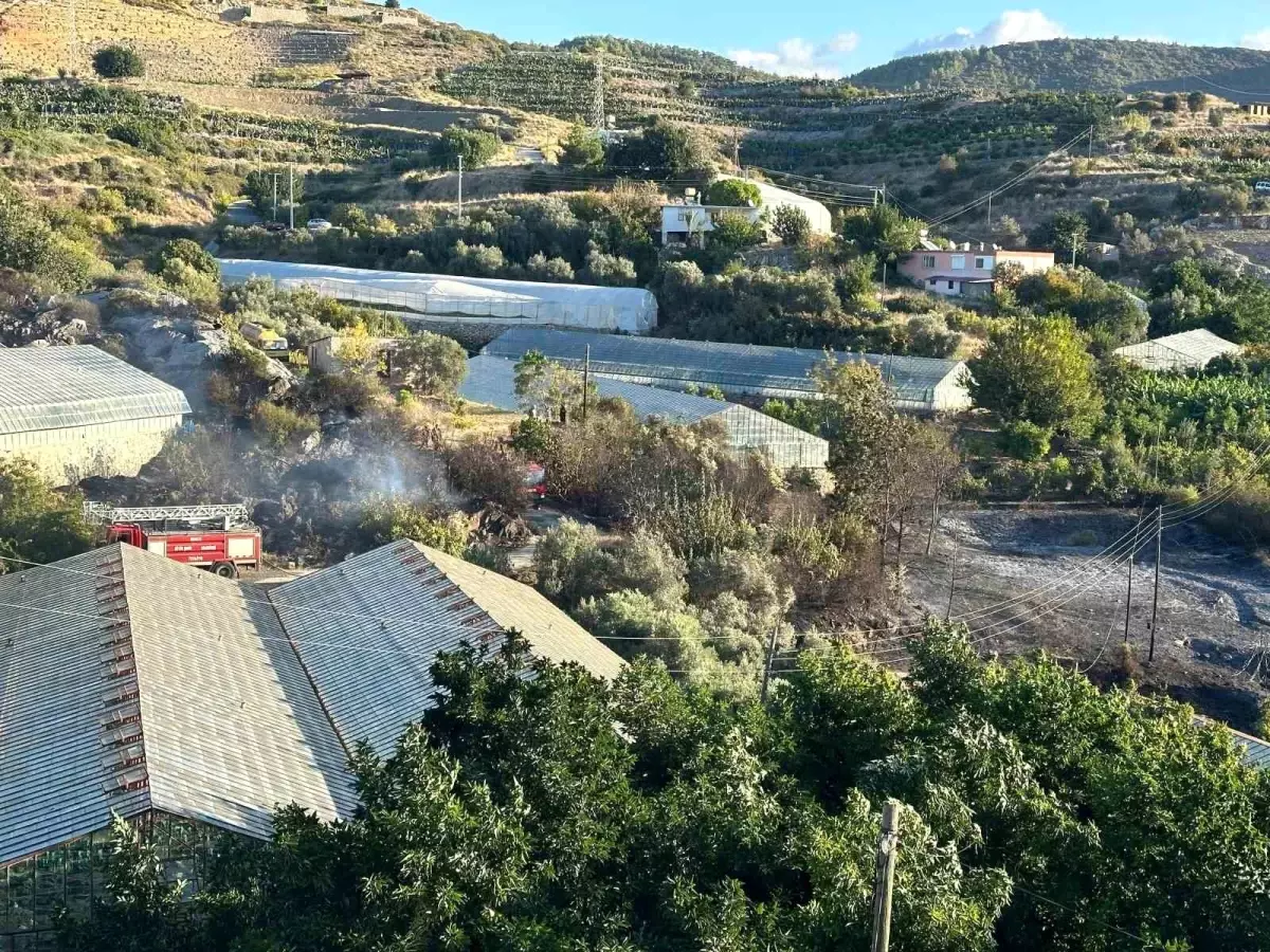 Alanya\'da Avokado Bahçesinde Yangın: 2 Yaralı, 60 Ağaç Kül Oldu