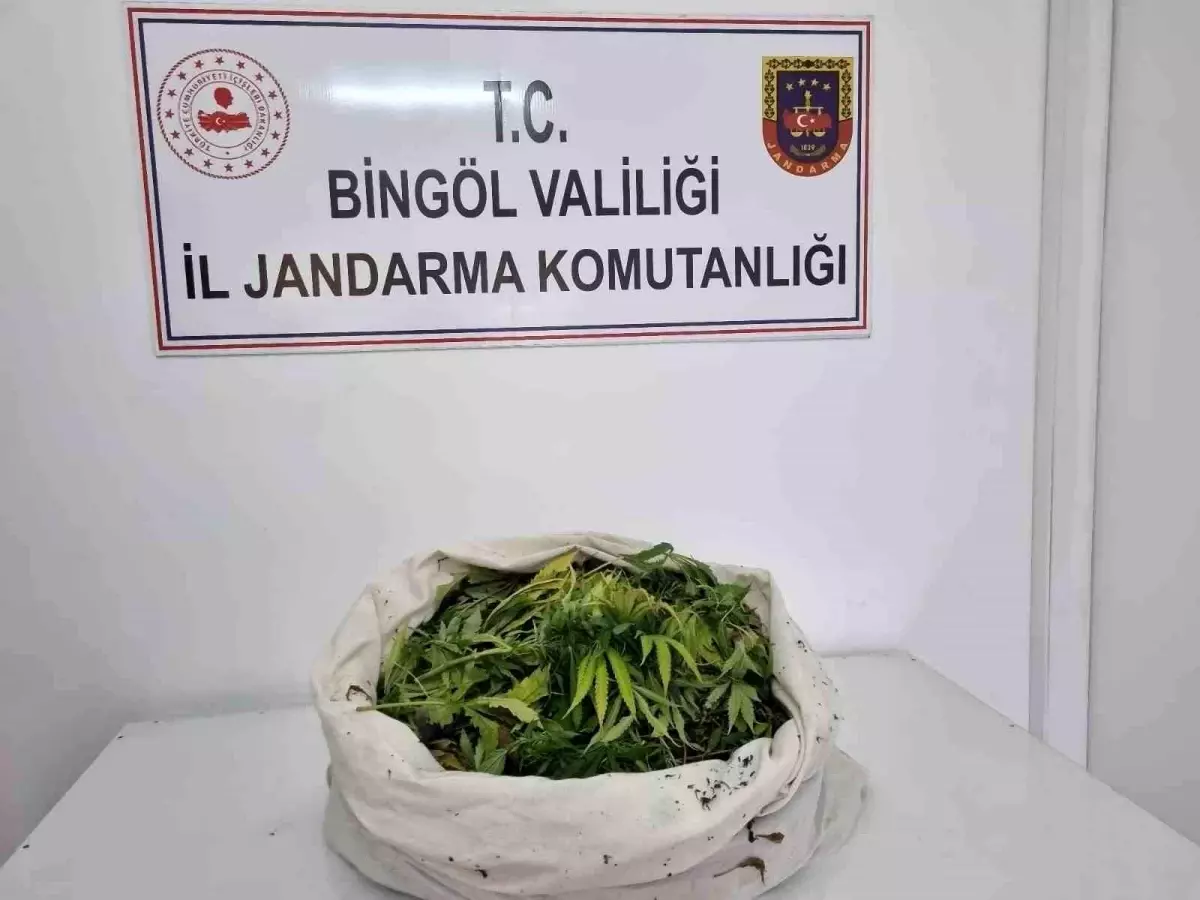 Bingöl\'de Uyuşturucu Operasyonu: 11 Kilo Esrar Ele Geçirildi