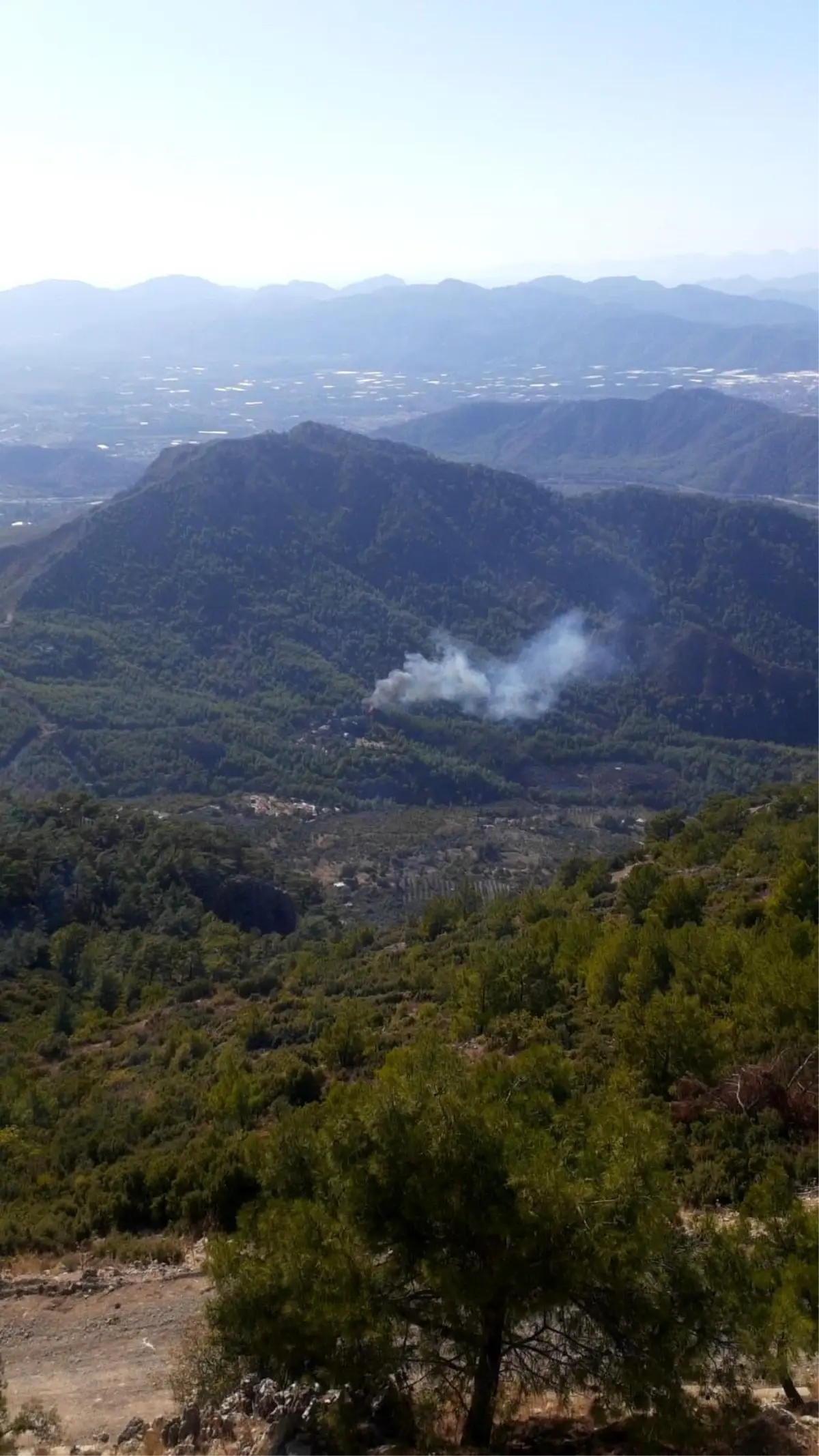 Muğla\'da Orman Yangınına Hızlı Müdahale