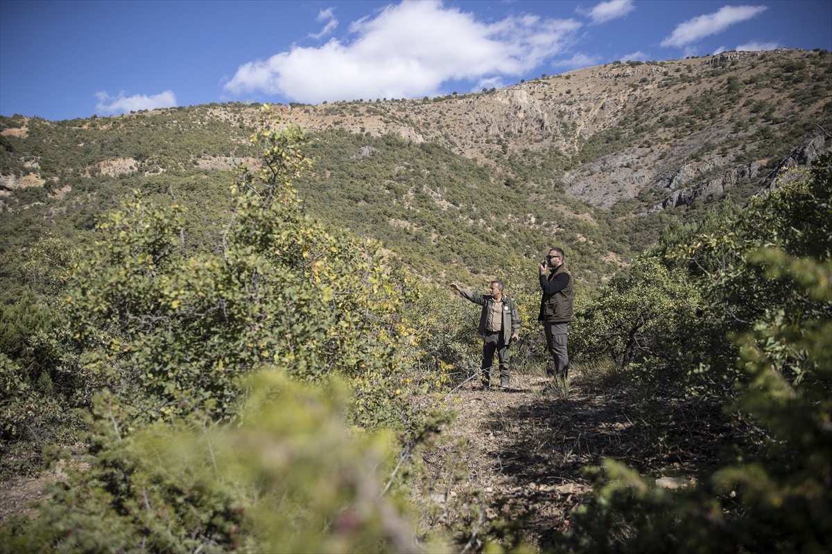 Tunceli\'de Kaçak Avcılarla Mücadele