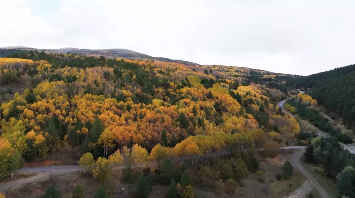 Erzincan\'da Sonbahar Renk Cümbüşü