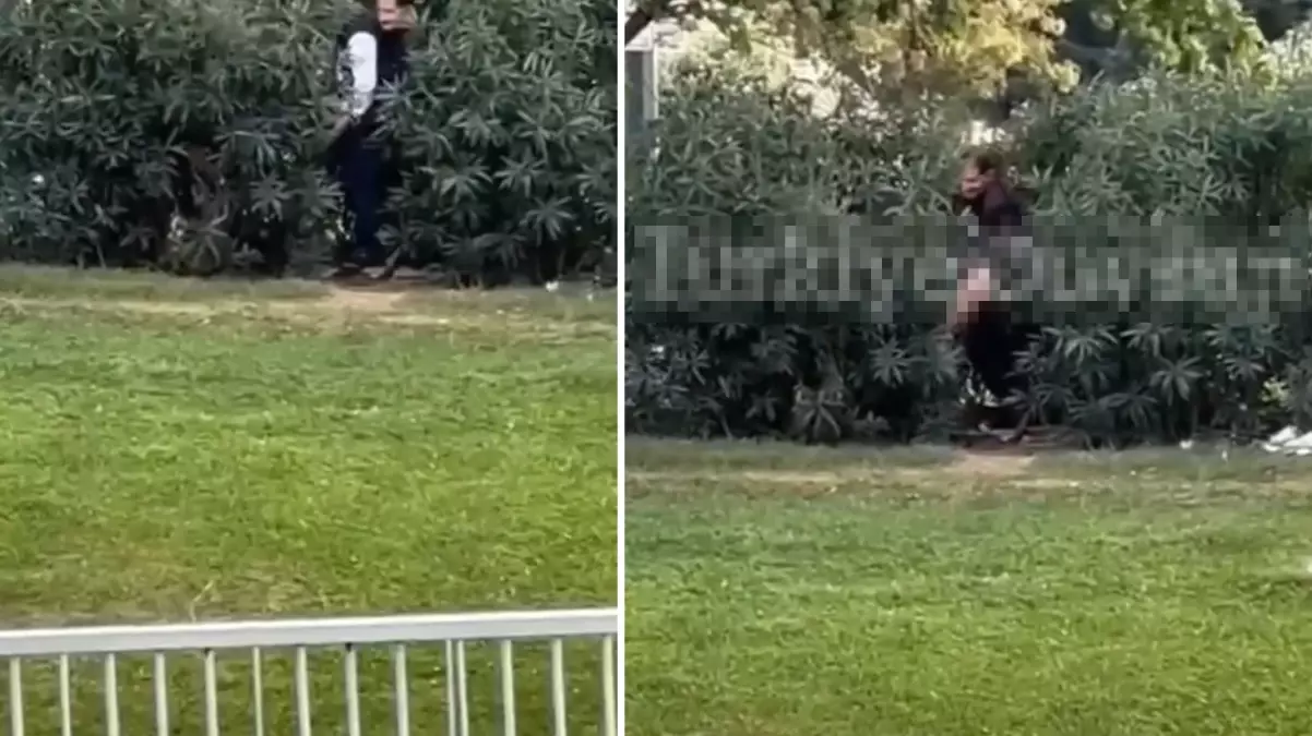Görüntü Türkiye\'den! 3 kişi güpegündüz çalılıkların arasında cinsel ilişkiye girdi