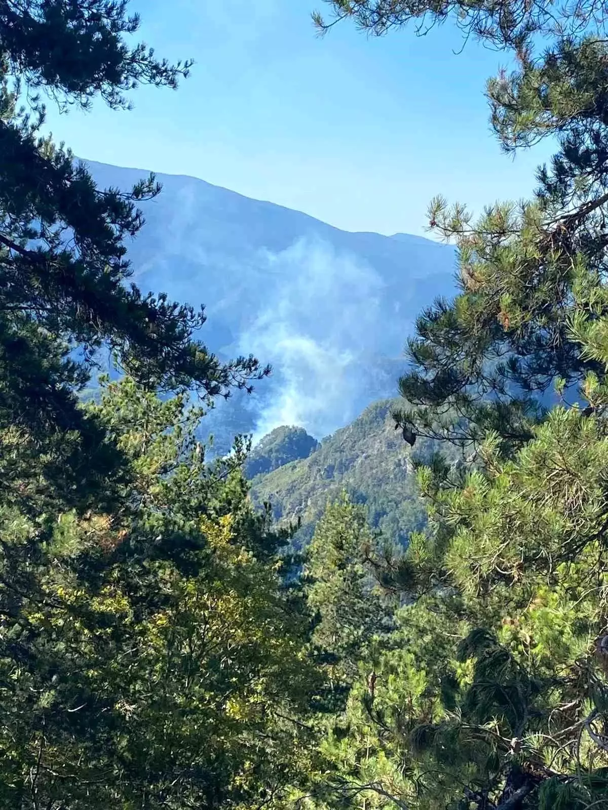 Hatay\'da Orman Yangınına Müdahale Başladı