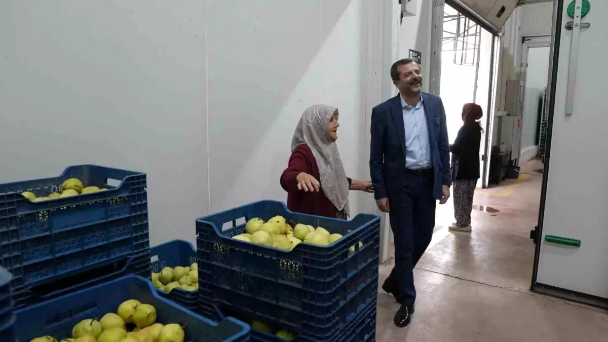 Hayriye Teyze\'den Gürsu Armutuna Destek ve Girişimcilik Örneği