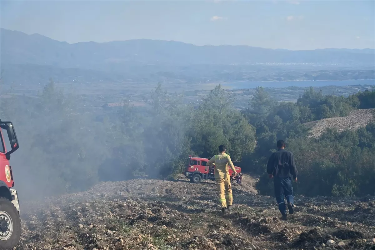 Kadirli\'de Orman Yangını Söndürüldü