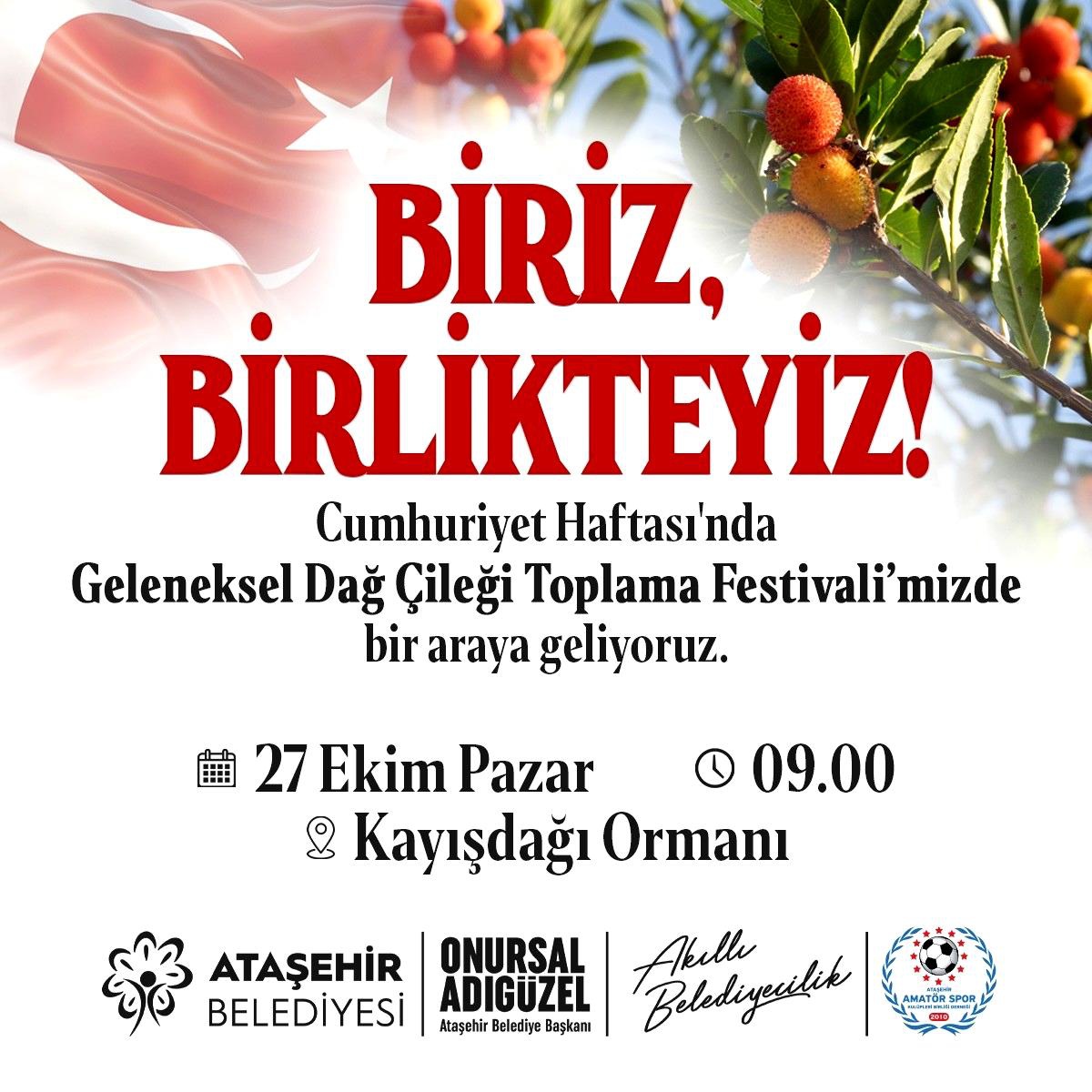 Ataşehir\'de Geleneksel Dağ Çileği Toplama Festivali