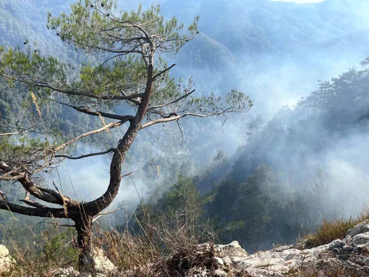 Hatay\'daki Orman Yangınına Havadan Müdahale Başladı