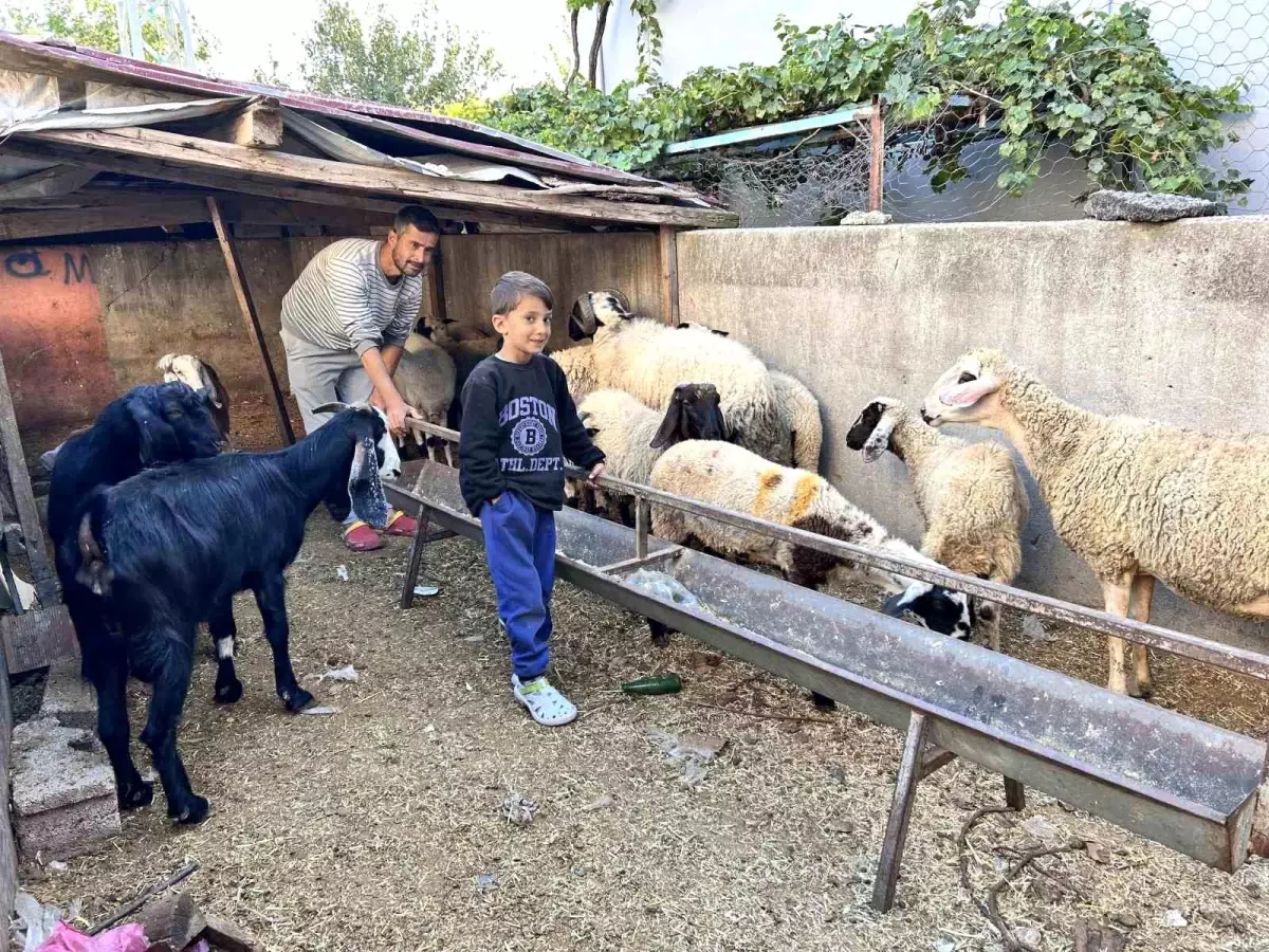 Çalınan Koyunlar Sahibine Kavuştu