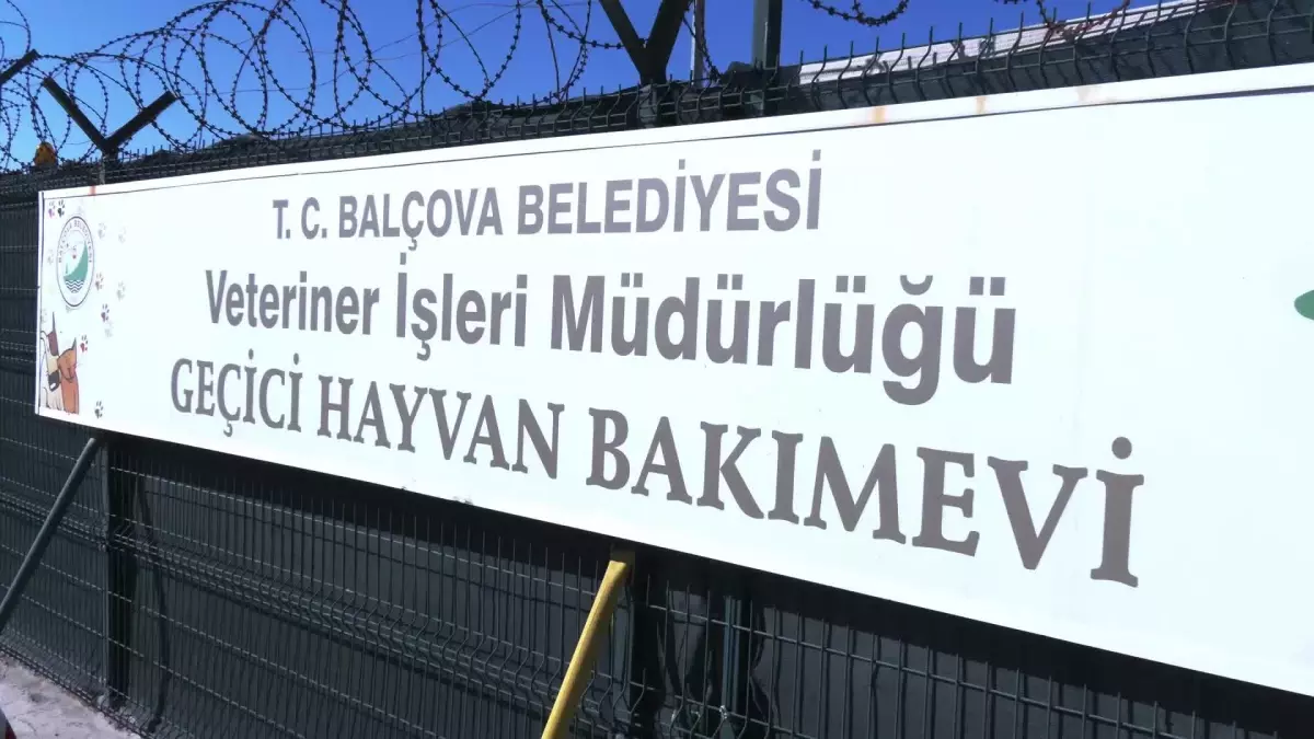 Balçova Belediyesi Arama Kurtarma Ekibi Bal-Kut\'a Hayvan Arama Kurtarma Eğitimi Verildi