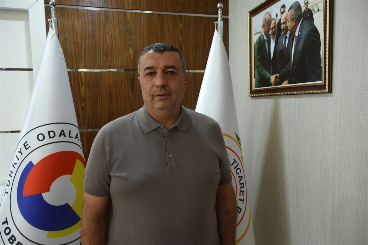 Kayısı Çekirdeğinden 10 Milyon Dolar Gelir